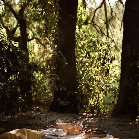 Phi Simple Living Quarters * Akrotiri (Zakynthos)